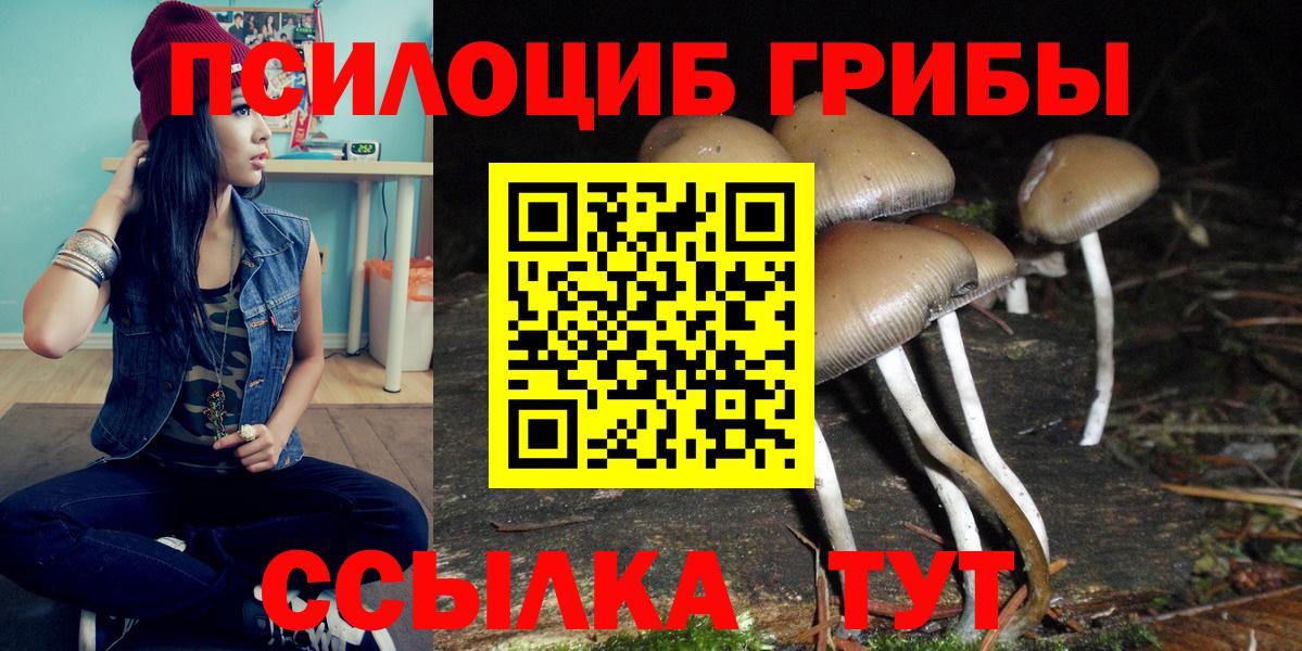 Галлюциногенные грибы мухоморы Зима